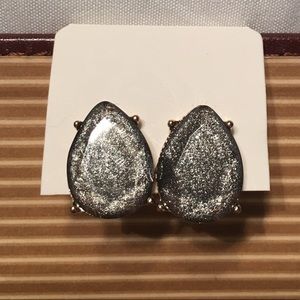 Gorgeous silver earrings NWT